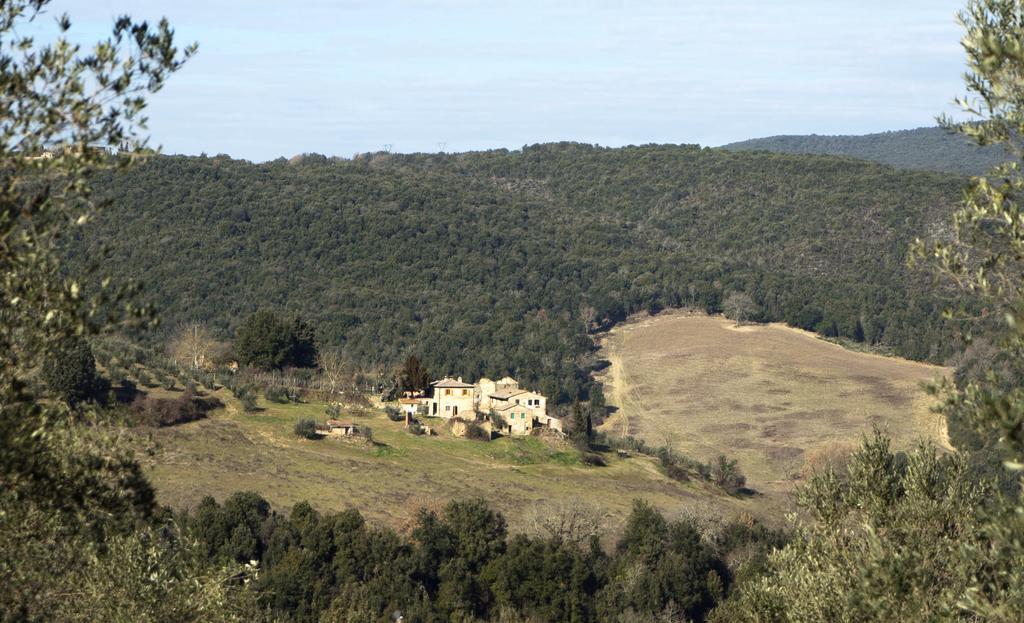 Casa Ollie Διαμέρισμα Castel San Gimignano Εξωτερικό φωτογραφία