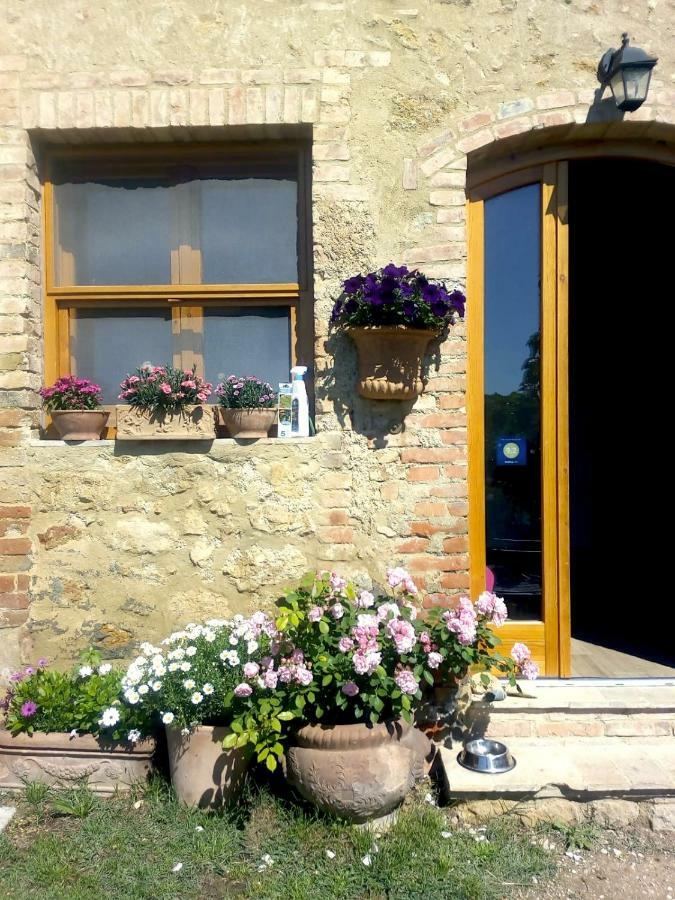 Casa Ollie Διαμέρισμα Castel San Gimignano Εξωτερικό φωτογραφία